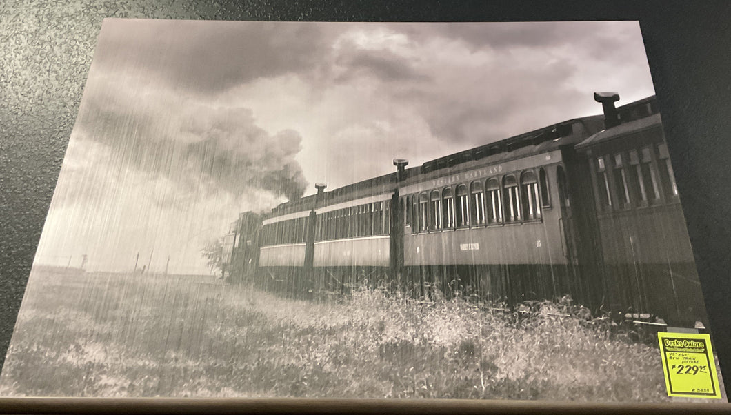 R3333 “Train” Canvas $229.95