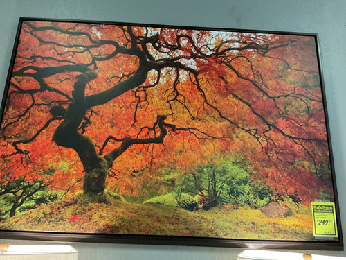 6667 40”x 60” “Tree Fire” Canvas Wall Art