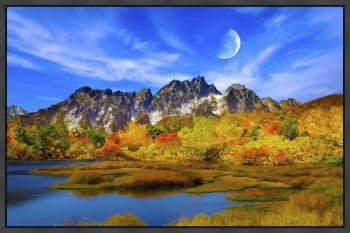 Beauty Of Nature