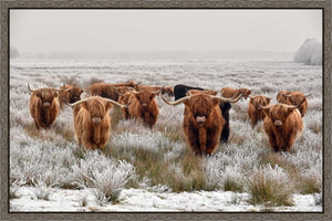 Highlander Family In Winter
