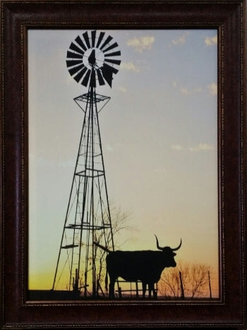 Windmill Longhorn