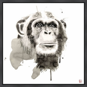 Wildlife Chimp
