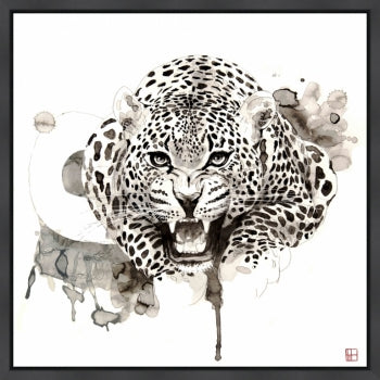 Wildlife Leopard