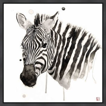 Wildlife Zebra